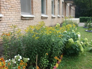 DSCF0676